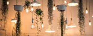 Lighting Design with Dialux