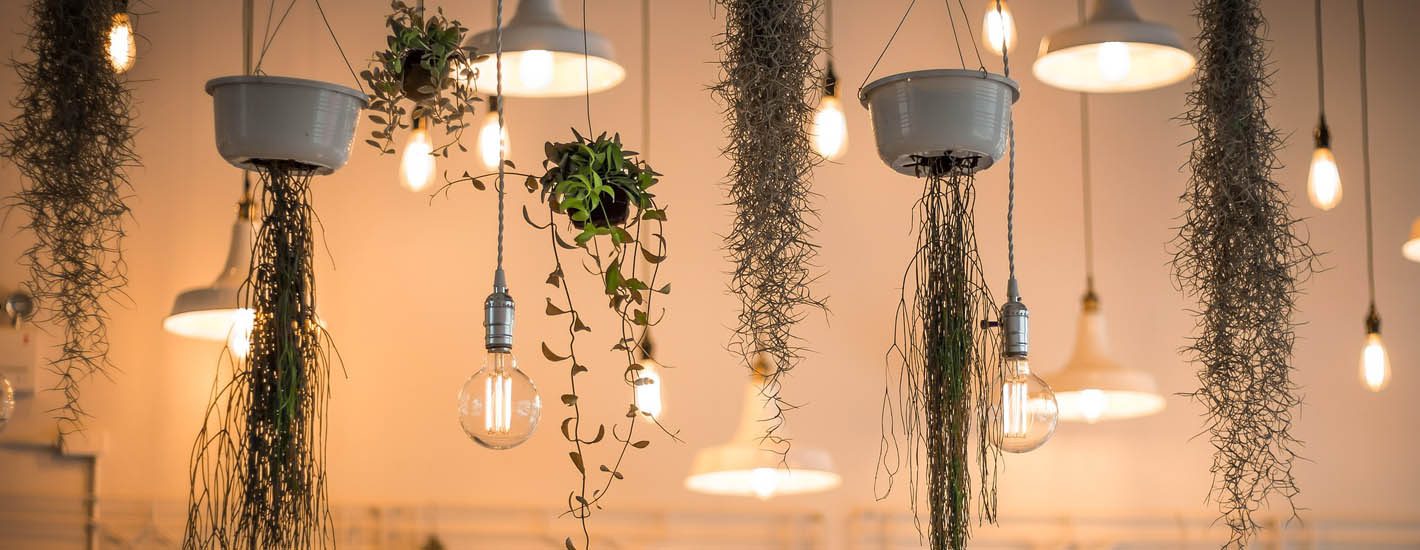 Lighting Design with Dialux