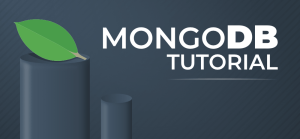 MongoDB Fundamentals (Free Online Course)